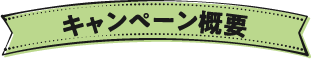 キャンペーン概要